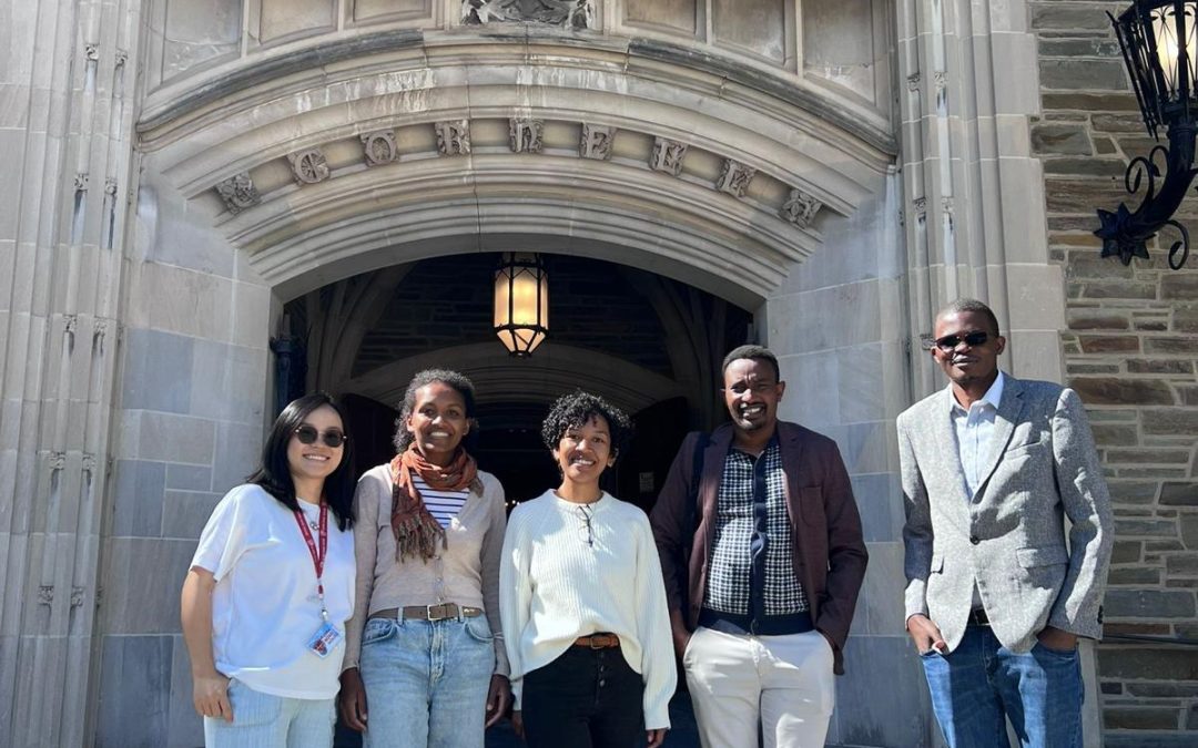 Working with the Big Brains : Learning to stand in the Court of Giants