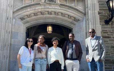 Working with the Big Brains : Learning to stand in the Court of Giants