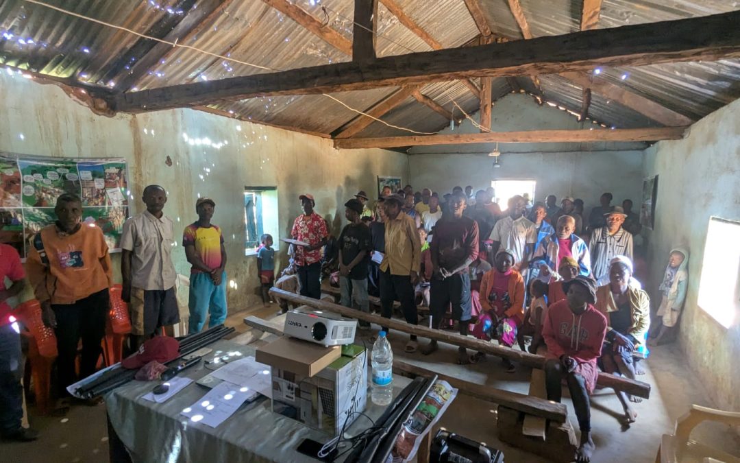 Ambatondrazaka Chronicles: Empowering the Fokonolona as Co-managers of Protected Areas?